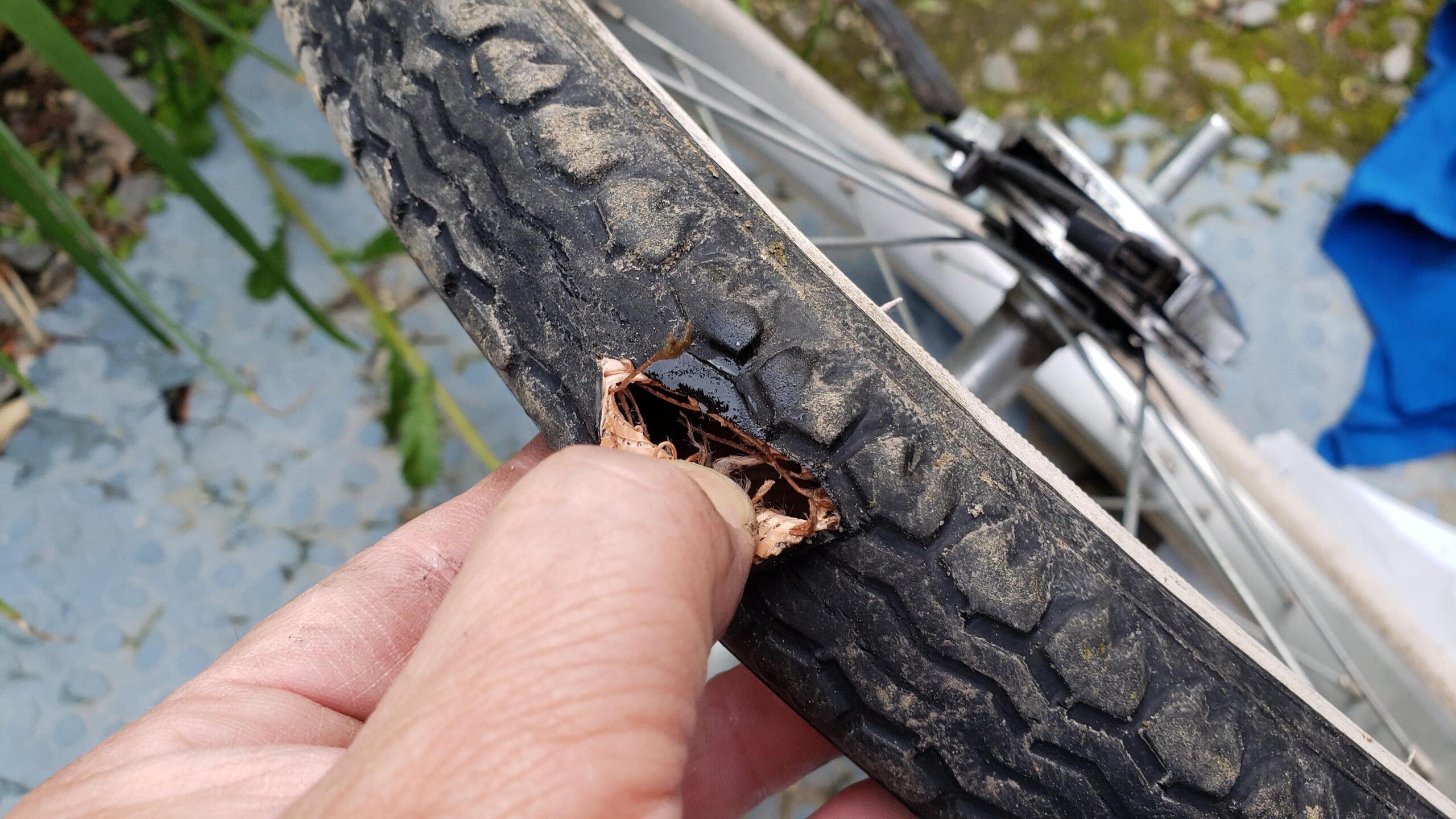 電動アシスト自転車のタイヤ交換 | MTB好きな「となりの輪人」